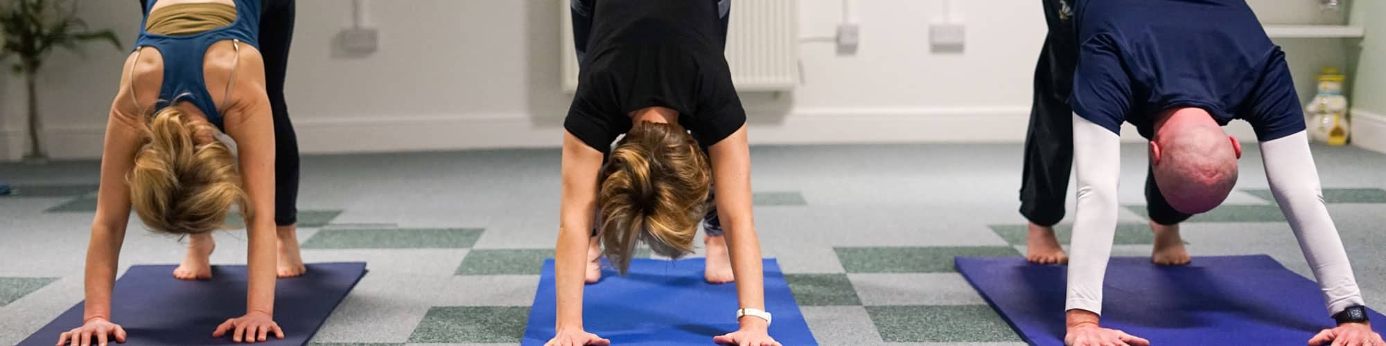 Yoga class in downward dog position in Wrexham